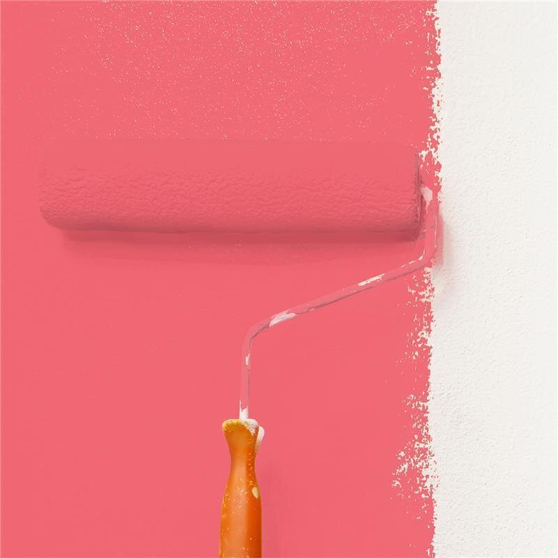 Wandfarbe Matt NCS-S-0565-R Profi Qualität für Innen