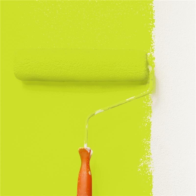 Wandfarbe Matt NCS-S-0570-G60Y Profi Qualität für Innen