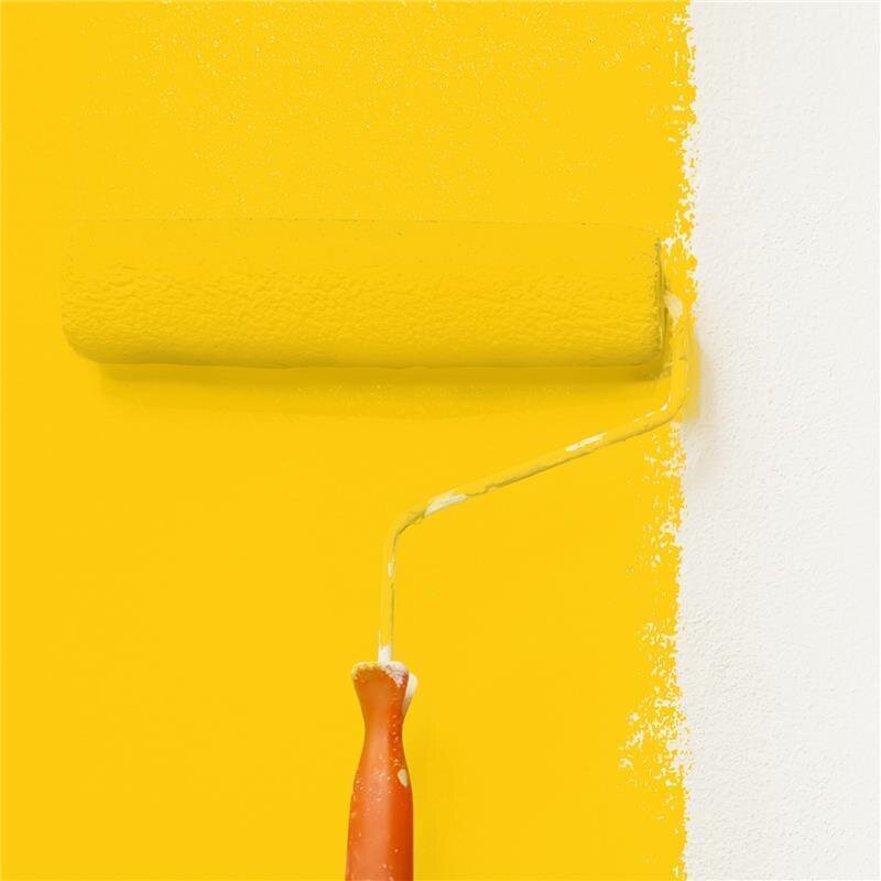 Wandfarbe Matt NCS-S-0570-Y10R Profi Qualität für Innen