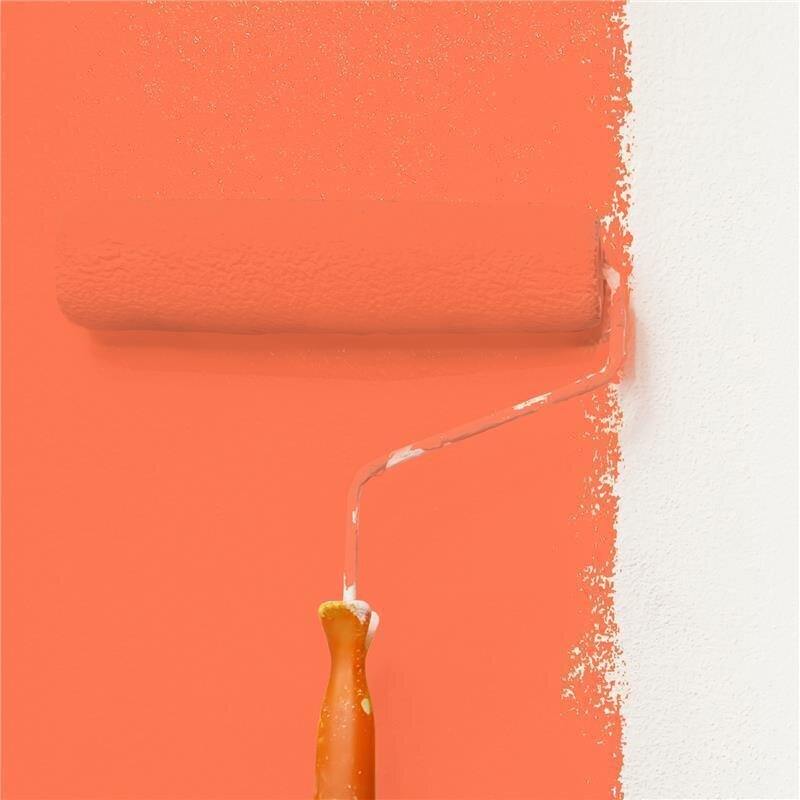 Wandfarbe Matt NCS-S-0570-Y70R Profi Qualität für Innen