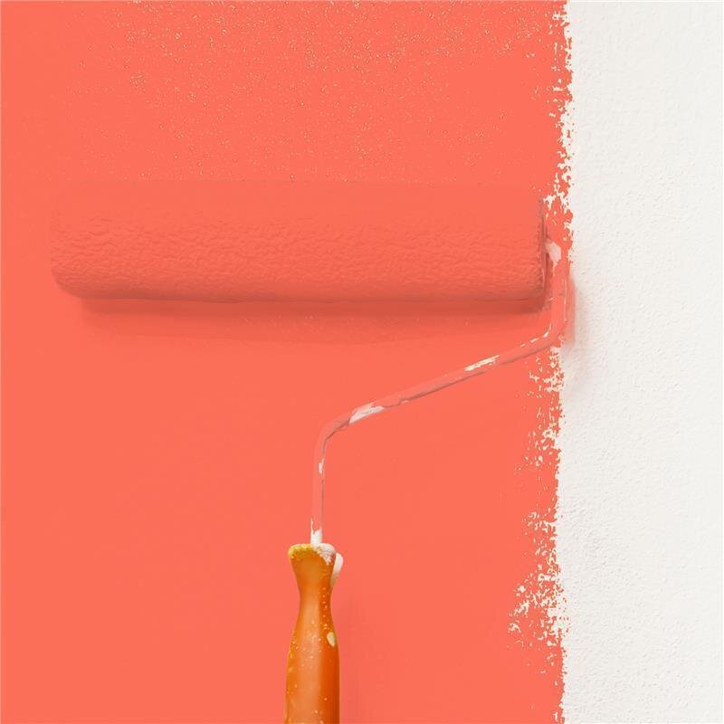 Wandfarbe Matt NCS-S-0570-Y80R Profi Qualität für Innen