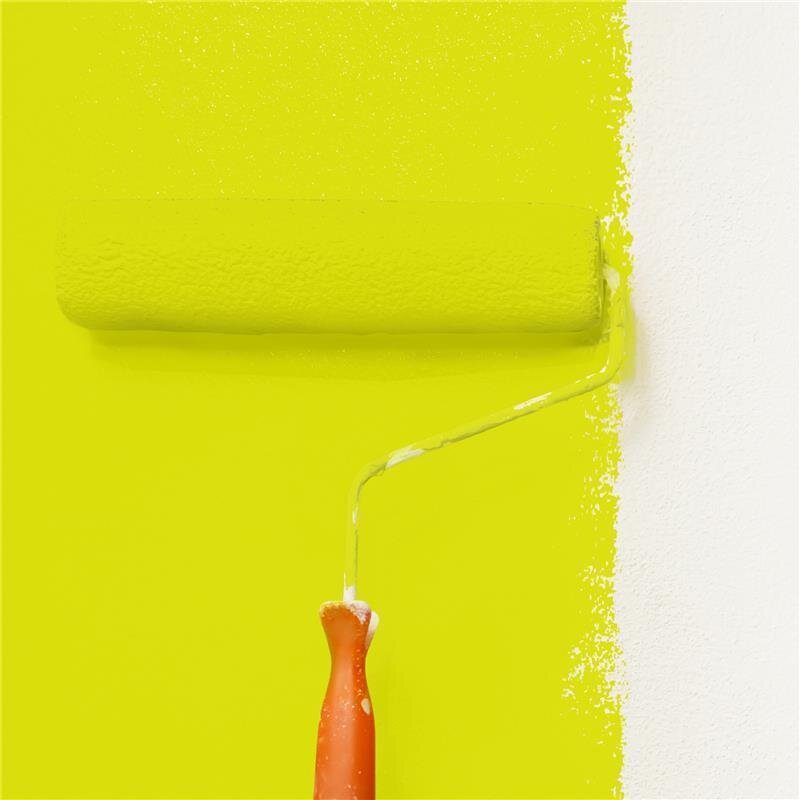 Wandfarbe Matt NCS-S-0575-G70Y Profi Qualität für Innen