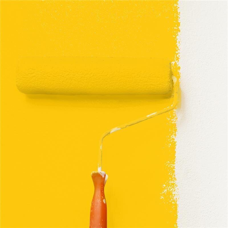 Wandfarbe Matt NCS-S-0580-Y10R Profi Qualität für Innen