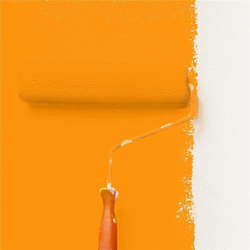 Wandfarbe Matt NCS-S-0580-Y40R Profi Qualität für Innen