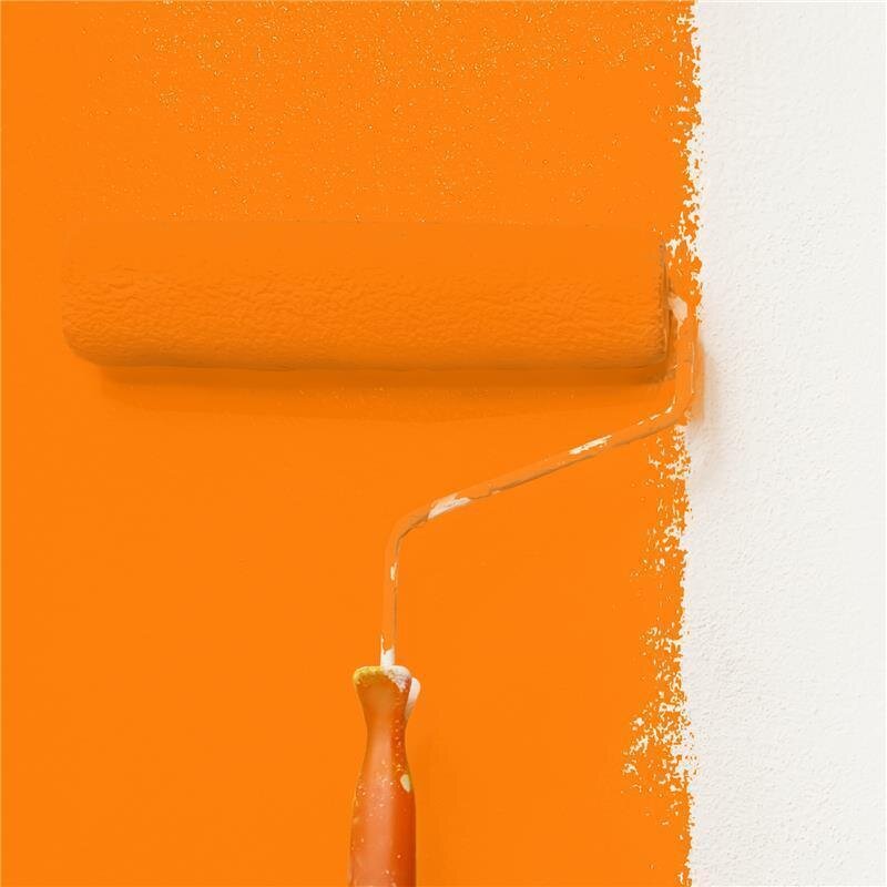 Wandfarbe Matt NCS-S-0580-Y50R Profi Qualität für Innen