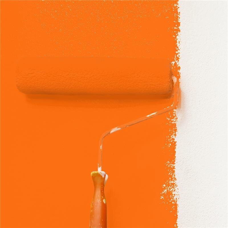 Wandfarbe Matt NCS-S-0580-Y60R Profi Qualität für Innen