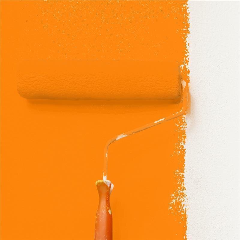 Wandfarbe Matt NCS-S-0585-Y50R Profi Qualität für Innen