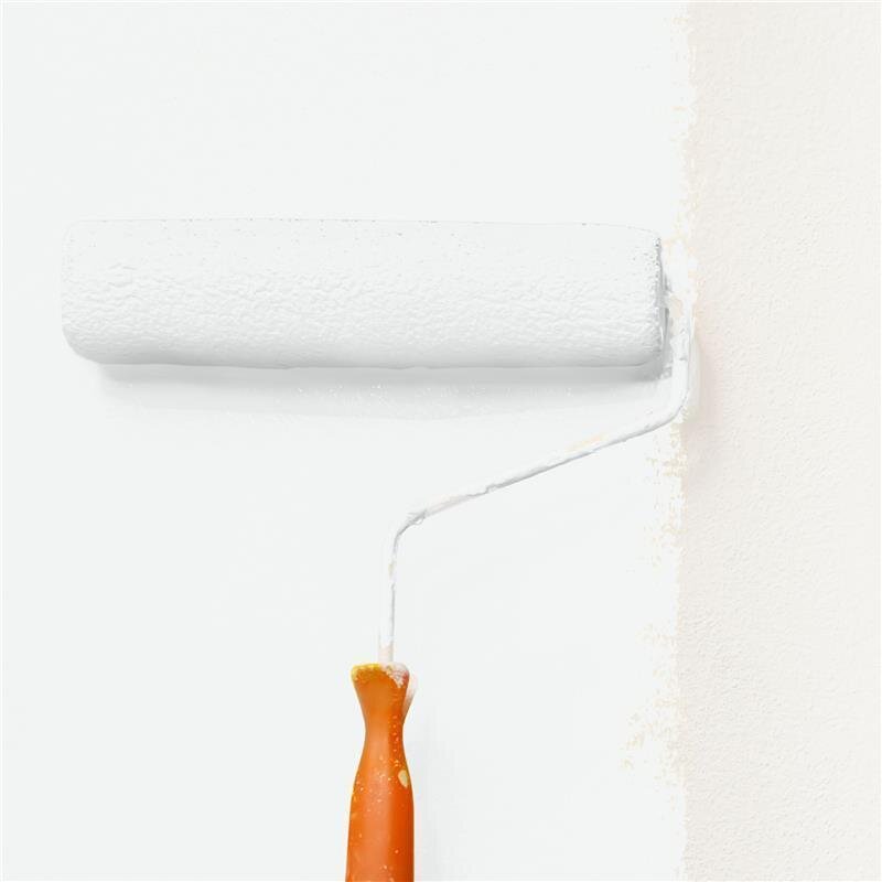 Wandfarbe Matt NCS-S-0601-G Profi Qualität für Innen