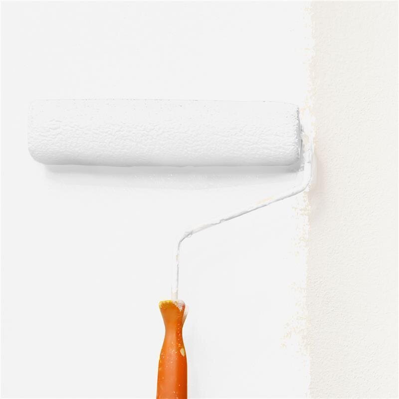 Wandfarbe Matt NCS-S-0601-R Profi Qualität für Innen