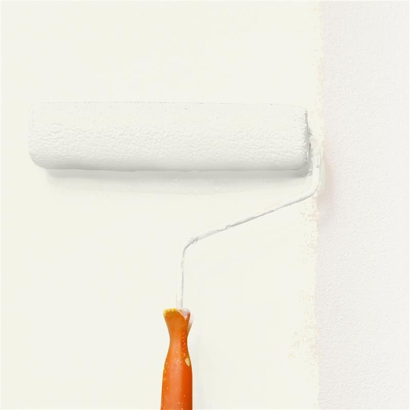 Wandfarbe Matt NCS-S-0603-G80Y Profi Qualität für Innen