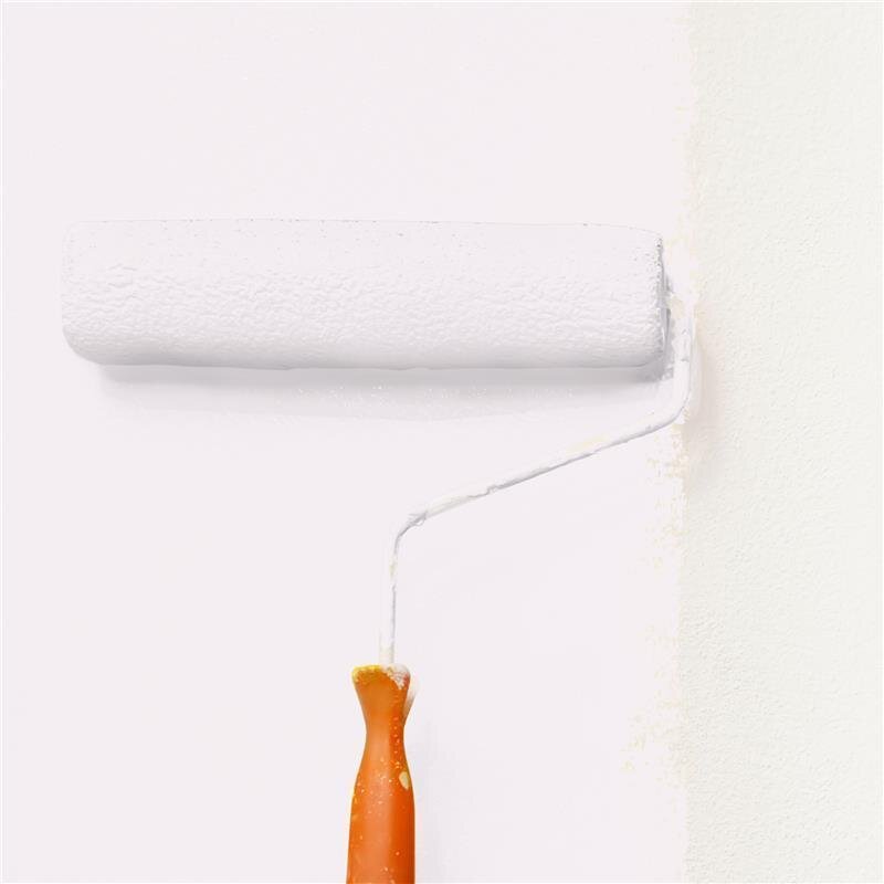 Wandfarbe Matt NCS-S-0603-R20B Profi Qualität für Innen