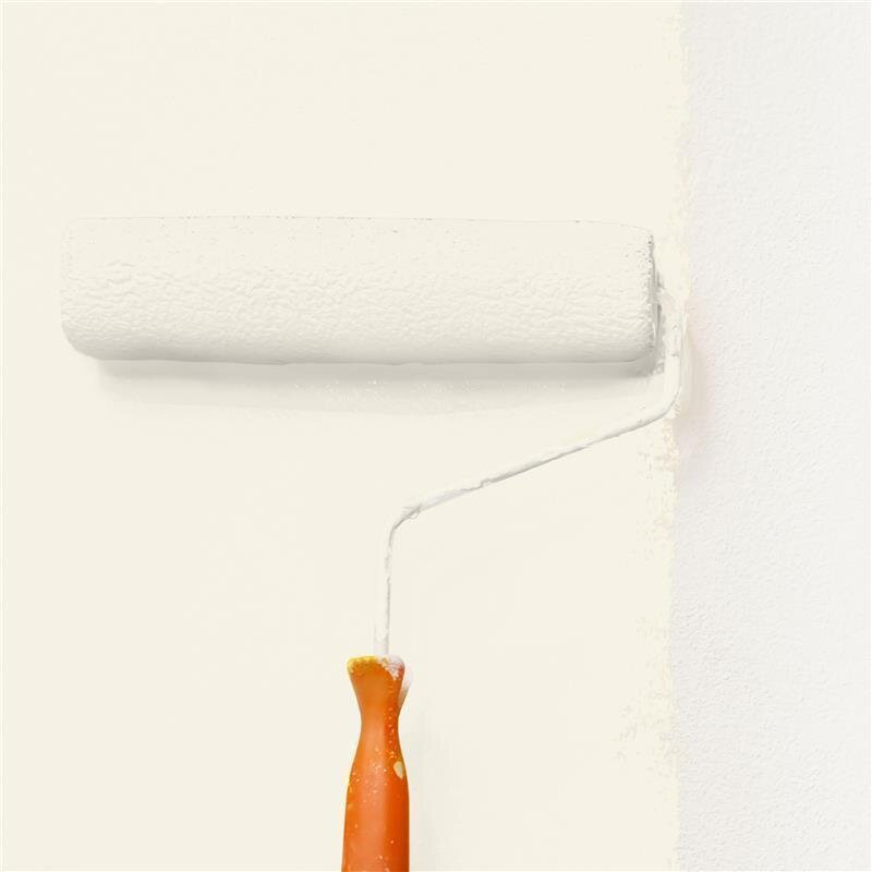 Wandfarbe Matt NCS-S-0603-Y20R Profi Qualität für Innen