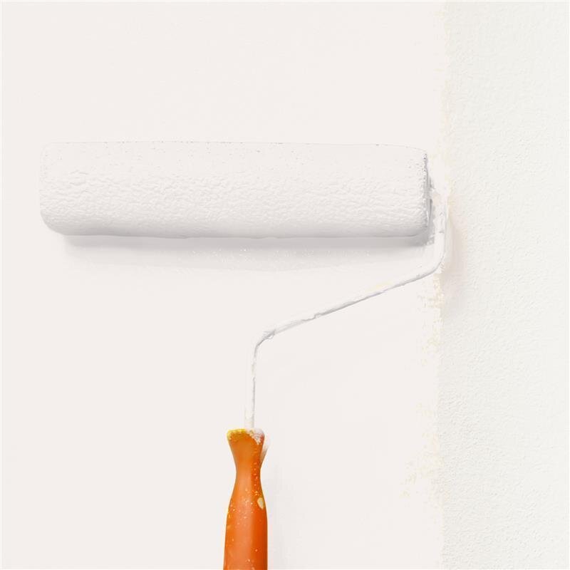 Wandfarbe Matt NCS-S-0603-Y80R Profi Qualität für Innen