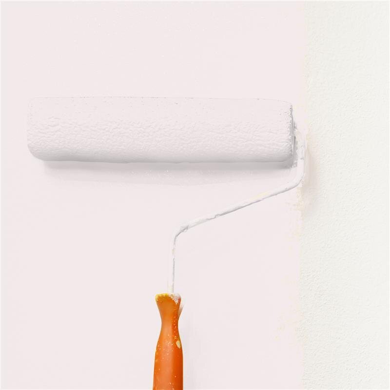 Wandfarbe Matt NCS-S-0804-R10B Profi Qualität für Innen