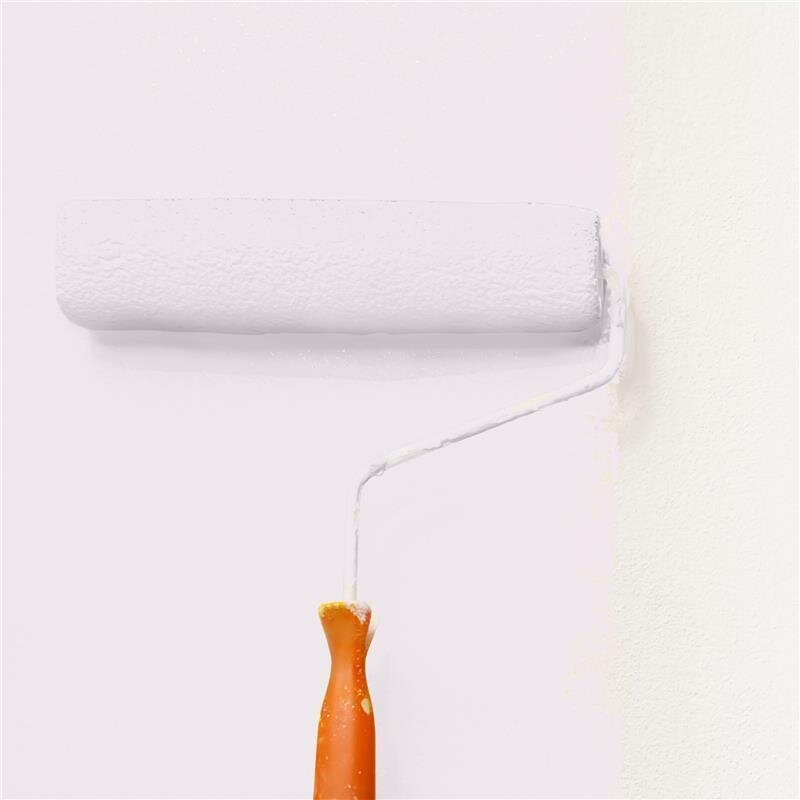 Wandfarbe Matt NCS-S-0804-R30B Profi Qualität für Innen