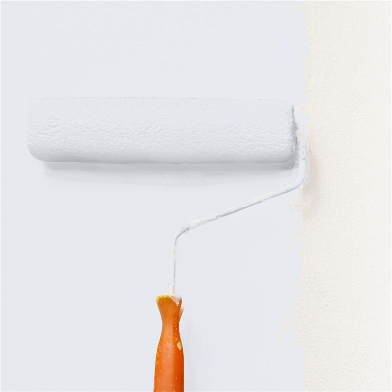 Wandfarbe Matt NCS-S-0804-R70B Profi Qualität für Innen