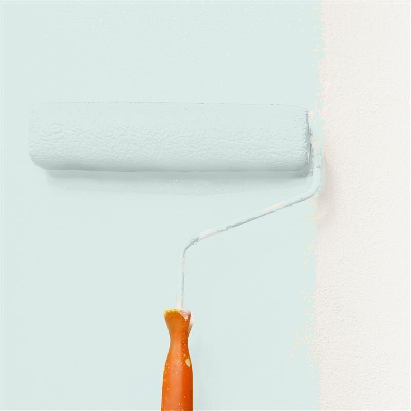 Wandfarbe Matt NCS-S-0907-B80G Profi Qualität für Innen