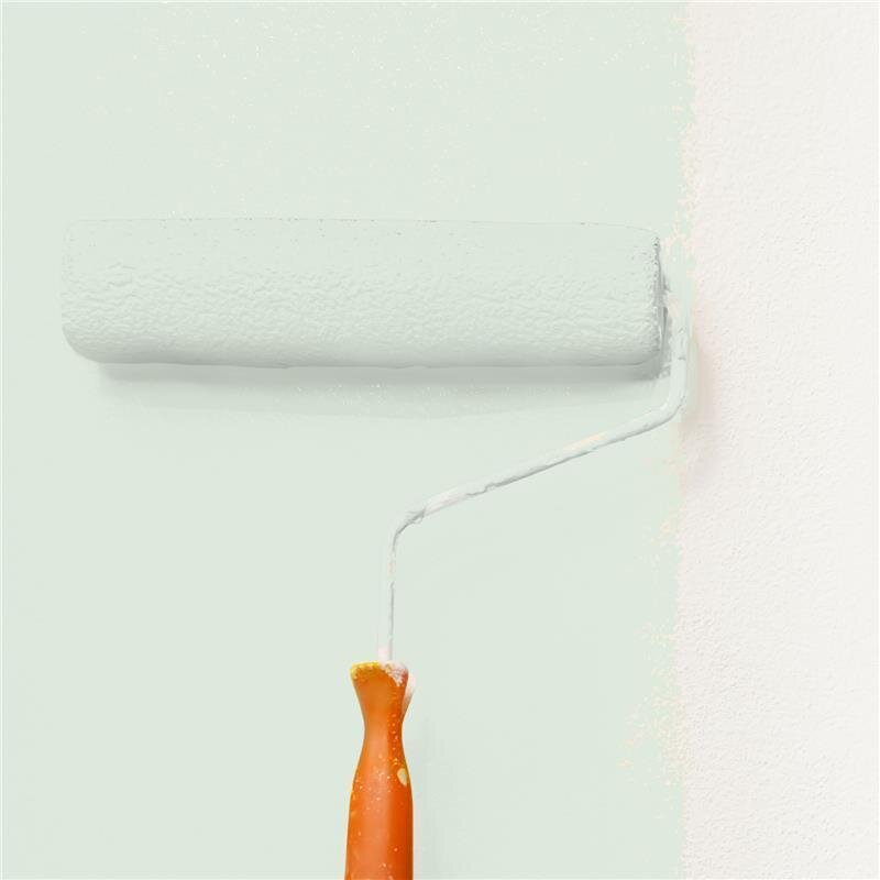 Wandfarbe Matt NCS-S-0907-G20Y Profi Qualität für Innen