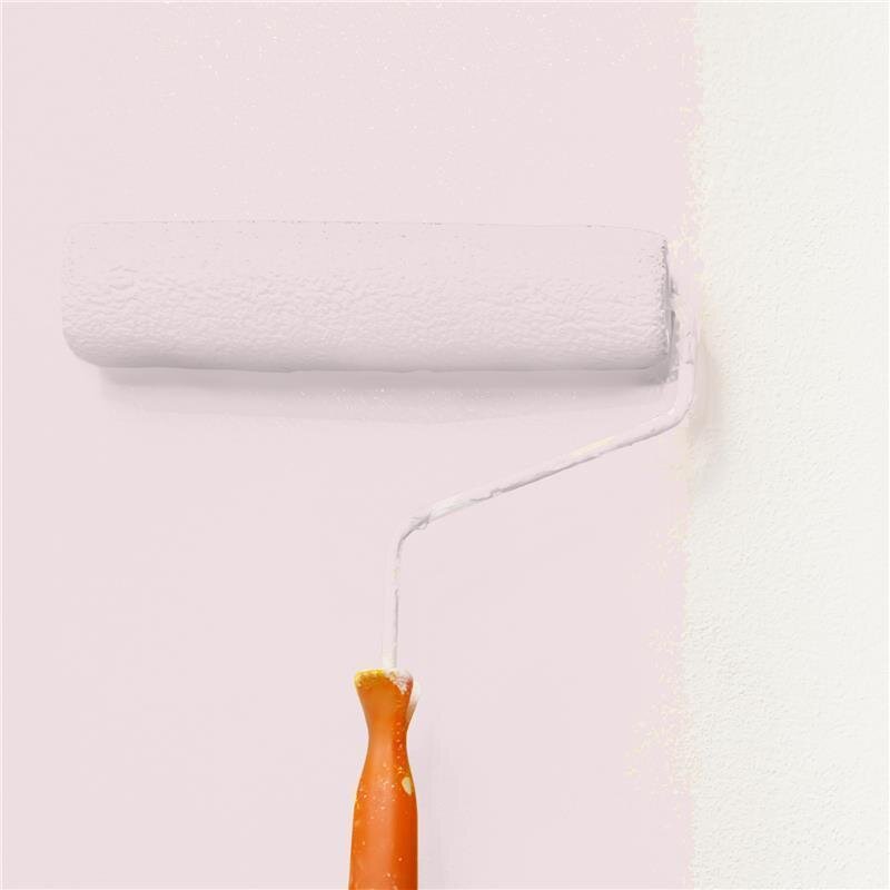 Wandfarbe Matt NCS-S-0907-R10B Profi Qualität für Innen