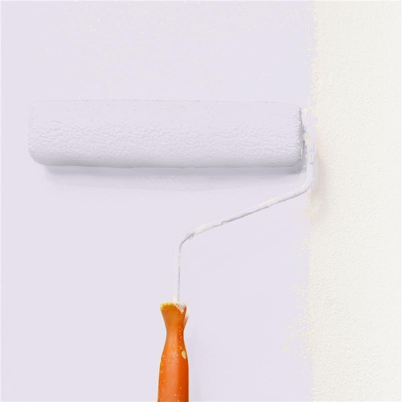 Wandfarbe Matt NCS-S-0907-R50B Profi Qualität für Innen