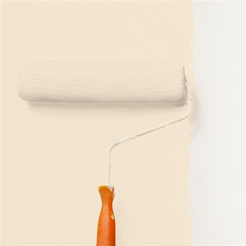 Wandfarbe Matt NCS-S-0907-Y30R Profi Qualität für Innen