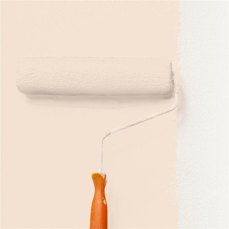 Wandfarbe Matt NCS-S-0907-Y50R Profi Qualität für Innen