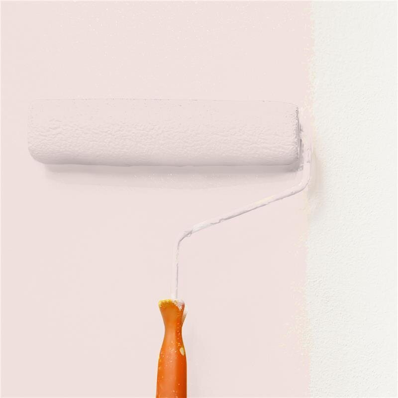 Wandfarbe Matt NCS-S-0907-Y90R Profi Qualität für Innen