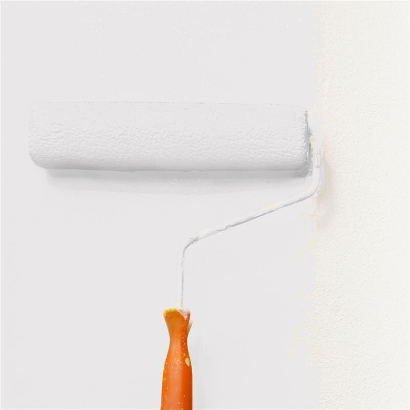 Wandfarbe Matt NCS-S-1001-R Profi Qualität für Innen