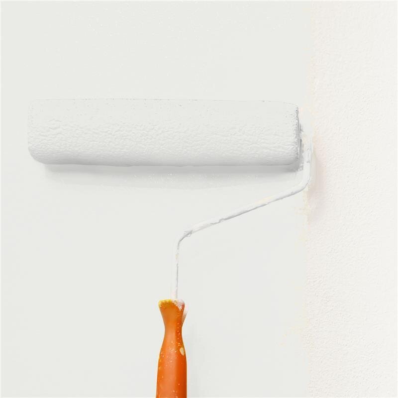 Wandfarbe Matt NCS-S-1001-Y Profi Qualität für Innen