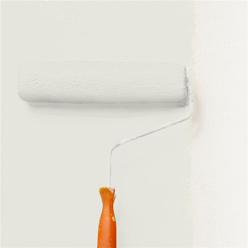 Wandfarbe Matt NCS-S-1002-Y Profi Qualität für Innen