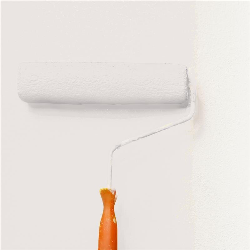 Wandfarbe Matt NCS-S-1002-Y80R Profi Qualität für Innen