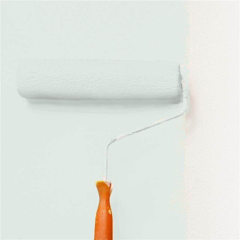 Wandfarbe Matt NCS-S-1005-G10Y Profi Qualität für Innen