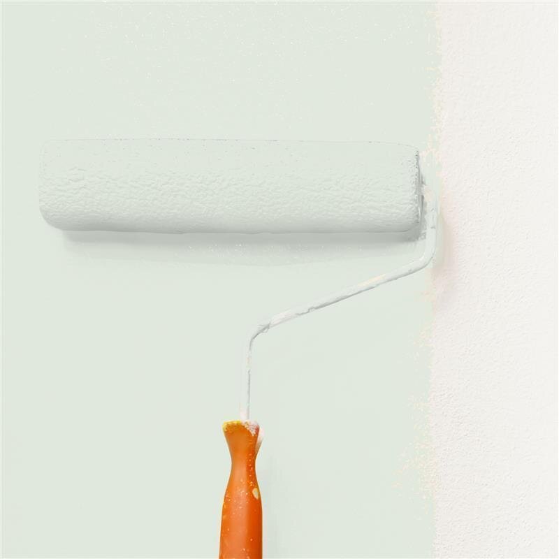 Wandfarbe Matt NCS-S-1005-G30Y Profi Qualität für Innen