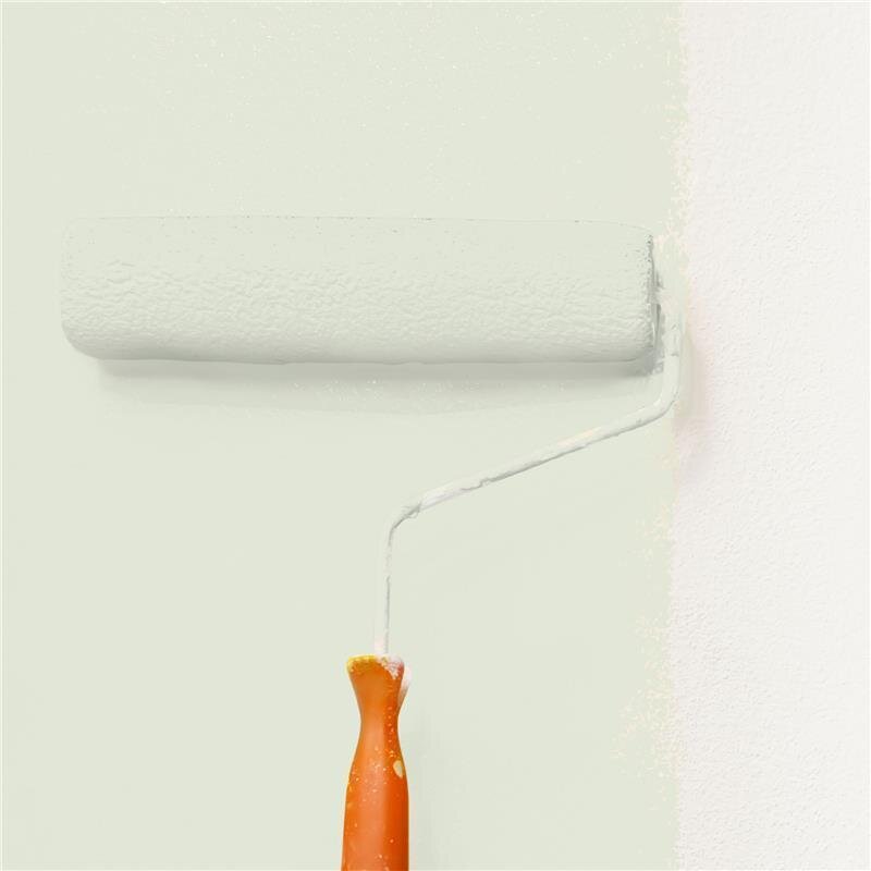 Wandfarbe Matt NCS-S-1005-G50Y Profi Qualität für Innen