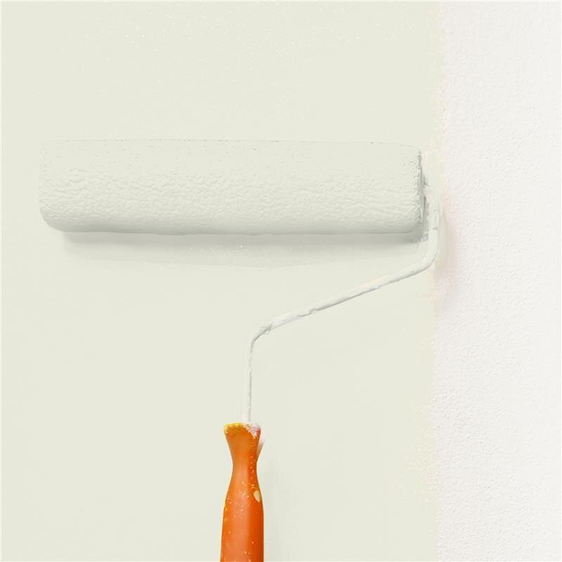 Wandfarbe Matt NCS-S-1005-G70Y Profi Qualität für Innen