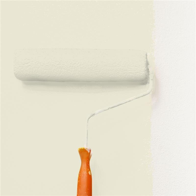 Wandfarbe Matt NCS-S-1005-G90Y Profi Qualität für Innen