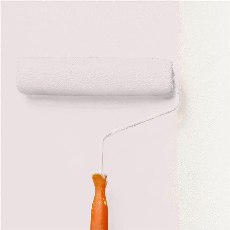 Wandfarbe Matt NCS-S-1005-R10B Profi Qualität für Innen