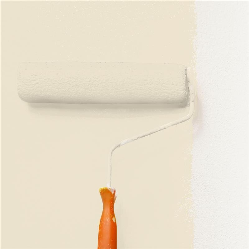 Wandfarbe Matt NCS-S-1005-Y20R Profi Qualität für Innen