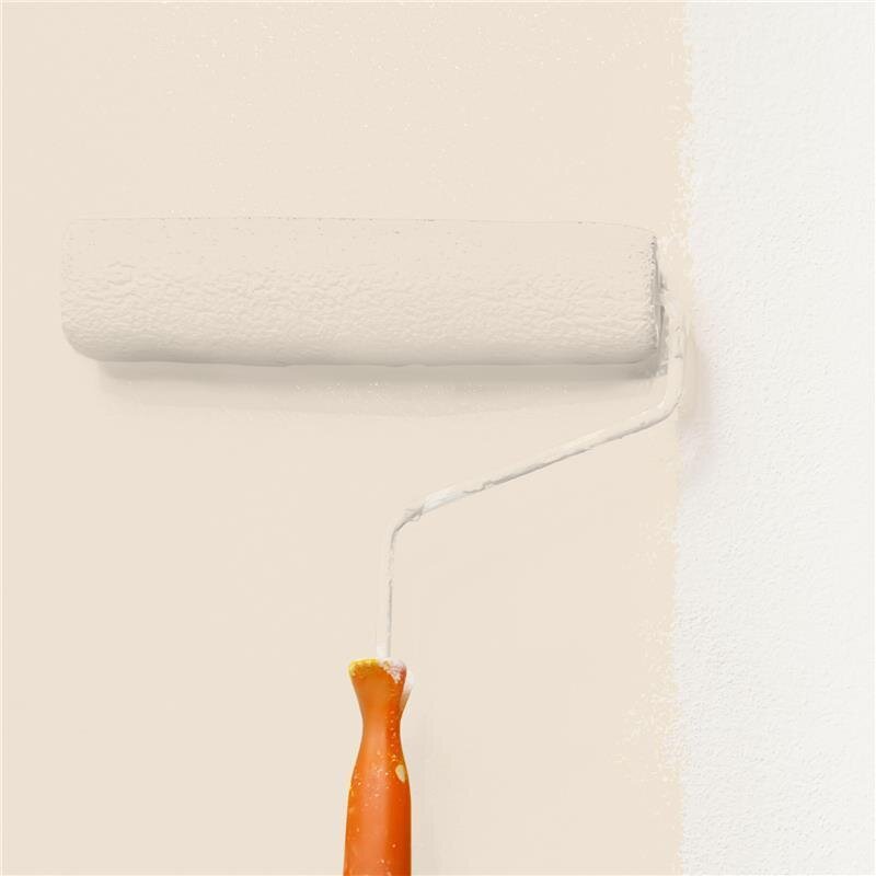 Wandfarbe Matt NCS-S-1005-Y40R Profi Qualität für Innen