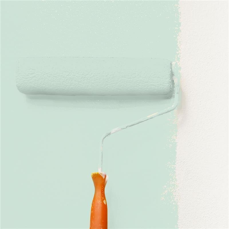 Wandfarbe Matt NCS-S-1010-G Profi Qualität für Innen