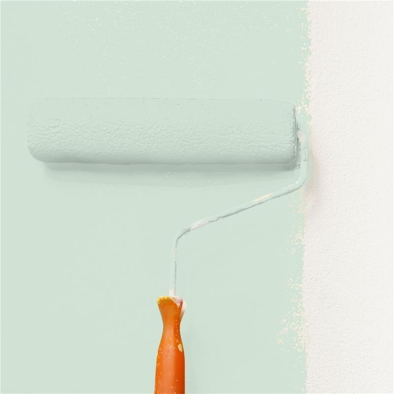 Wandfarbe Matt NCS-S-1010-G10Y Profi Qualität für Innen