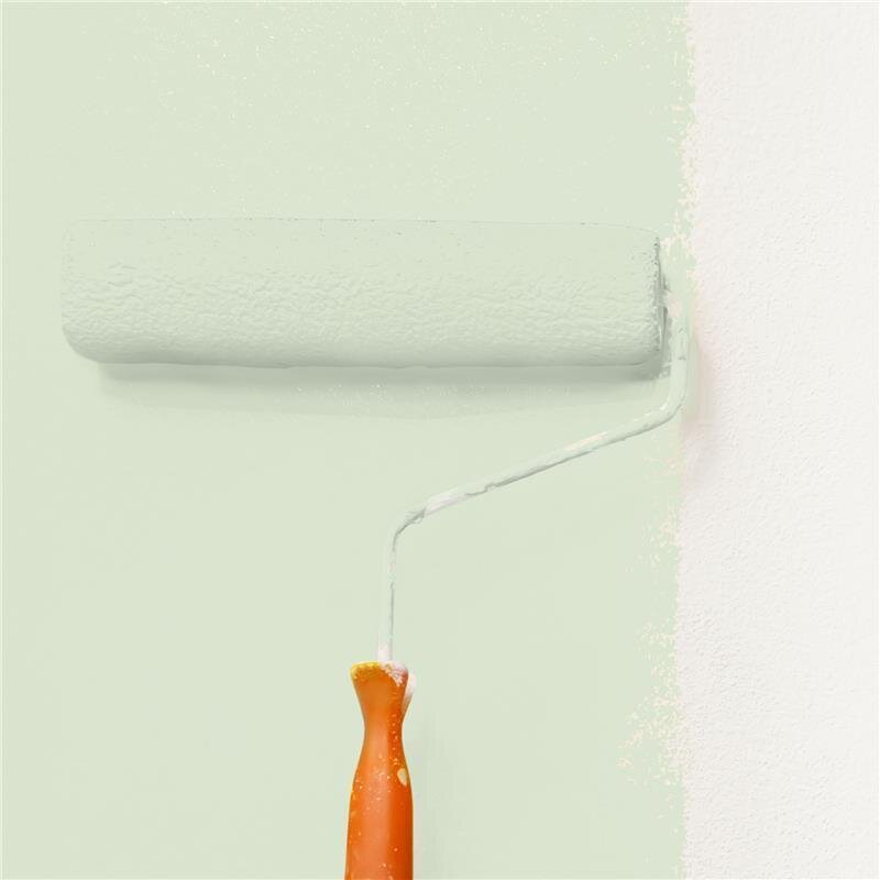 Wandfarbe Matt NCS-S-1010-G30Y Profi Qualität für Innen