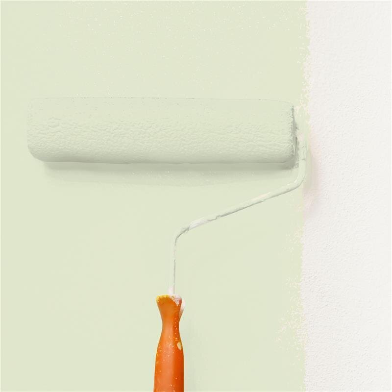 Wandfarbe Matt NCS-S-1010-G50Y Profi Qualität für Innen