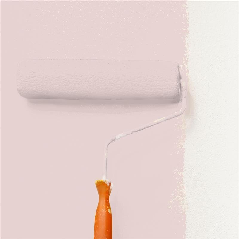 Wandfarbe Matt NCS-S-1010-R Profi Qualität für Innen