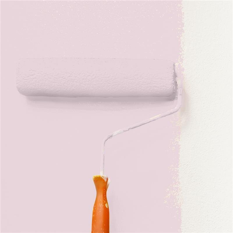 Wandfarbe Matt NCS-S-1010-R20B Profi Qualität für Innen