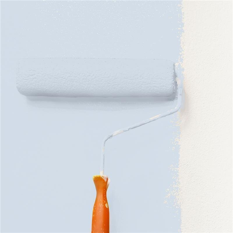 Wandfarbe Matt NCS-S-1010-R80B Profi Qualität für Innen