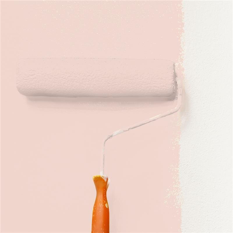 Wandfarbe Matt NCS-S-1010-Y80R Profi Qualität für Innen