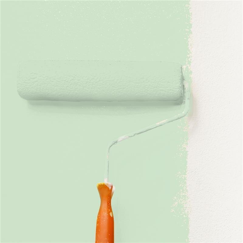 Wandfarbe Matt NCS-S-1015-G20Y Profi Qualität für Innen