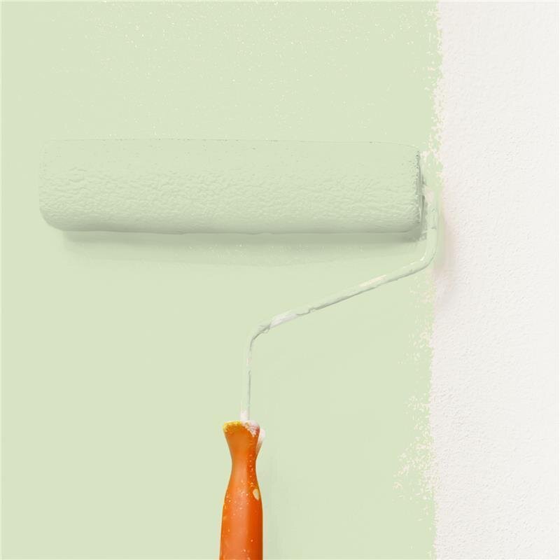 Wandfarbe Matt NCS-S-1015-G40Y Profi Qualität für Innen