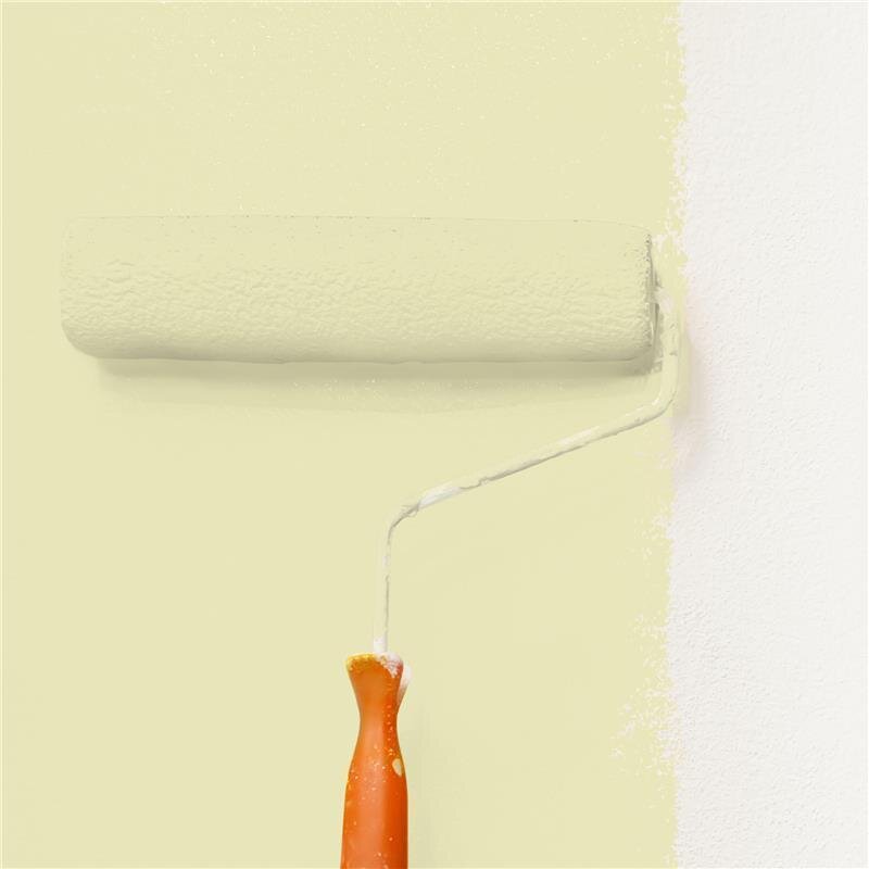 Wandfarbe Matt NCS-S-1015-G80Y Profi Qualität für Innen